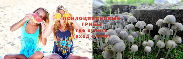 ALPHA PVP Алзамай