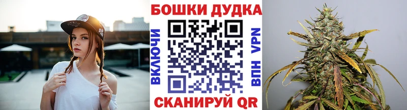 Конопля сатива  что такое   mega зеркало  Обнинск 
